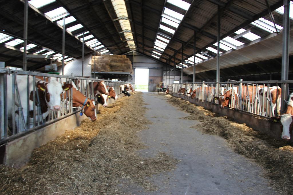 Middenin Grijpskerke Exterior foto